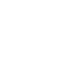 Privacy Icon